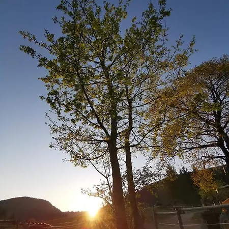 Schloegelhofer Apartment Lunz am See