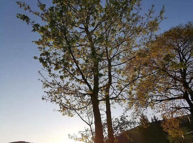 Schloegelhofer Lejlighed Lunz am See