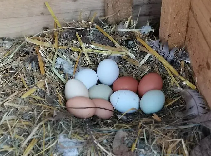 Schloegelhofer Lunz am See
