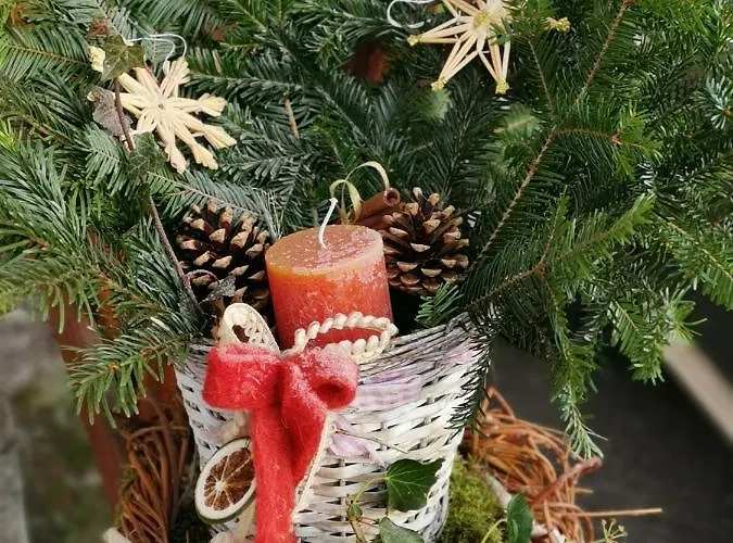 דירה Schloegelhofer לונץ אם סי